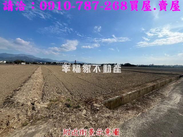 台南農地-6