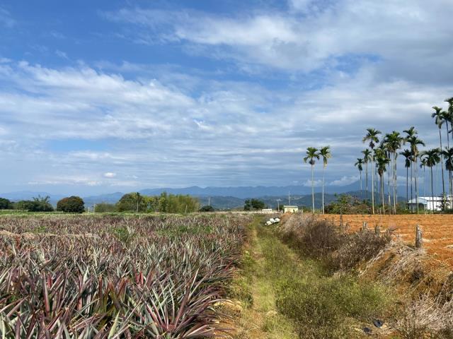 南投名間農地-2