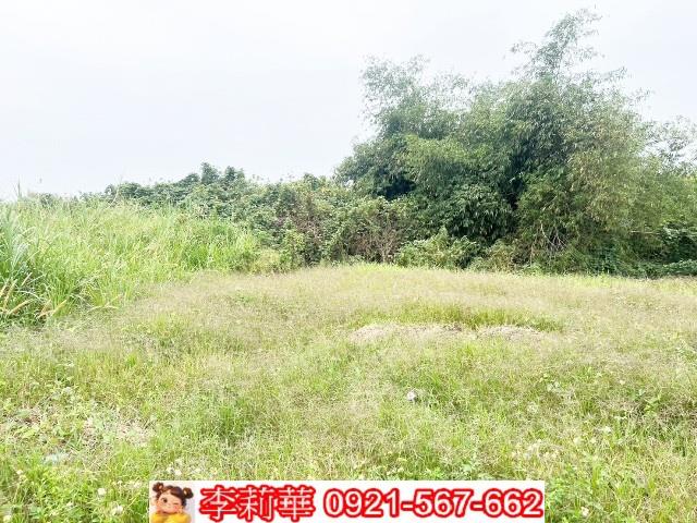 台南歸仁農地-4