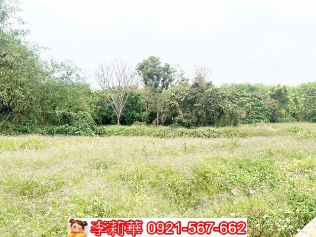 台南歸仁農地-5