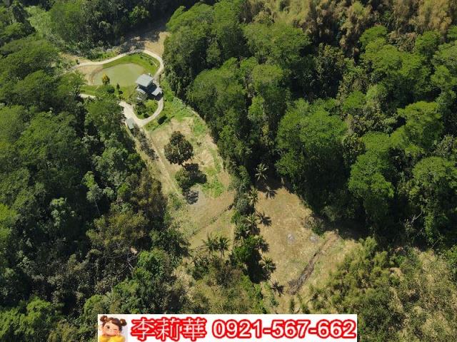 台南優質房仲房屋買賣農地建地買賣新建案參考歷史博物館棒球場