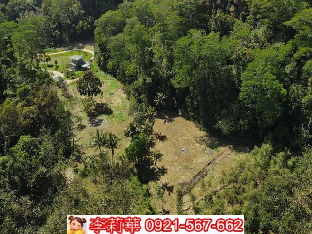 台南新化農地-1