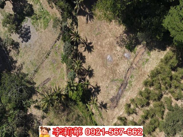 台南新化農地-3