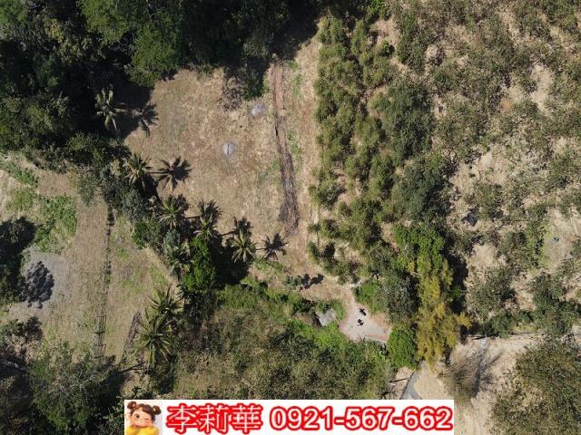 台南新化農地-4