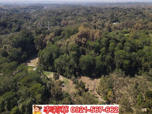 台南新化農地-5