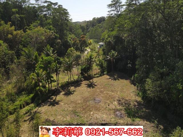 台南新化農地-6