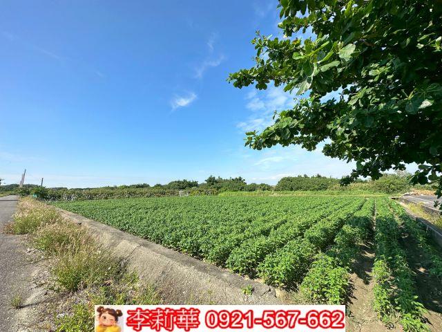 台南將軍農地-3