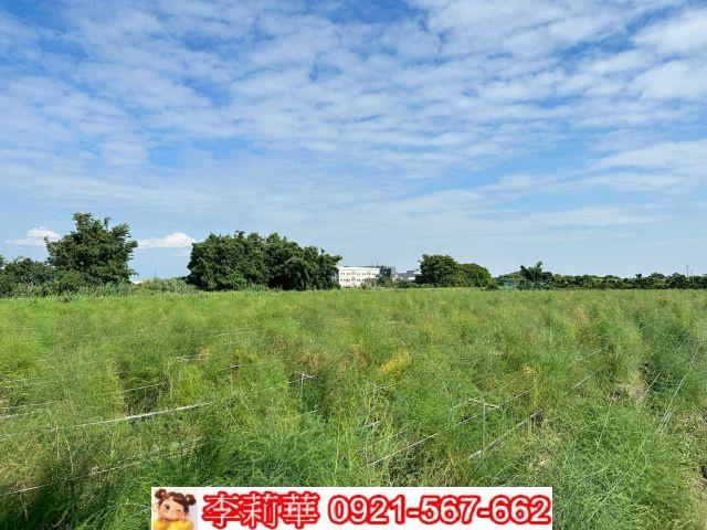 台南將軍農地-6