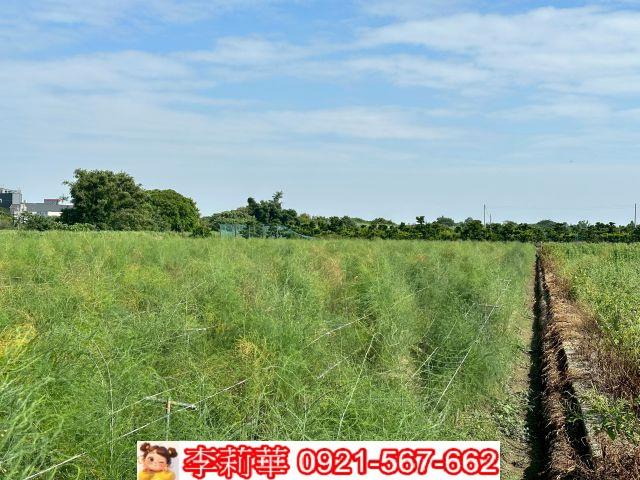 台南將軍農地-7