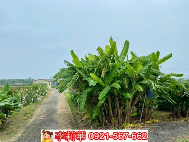 台南安南農地-0