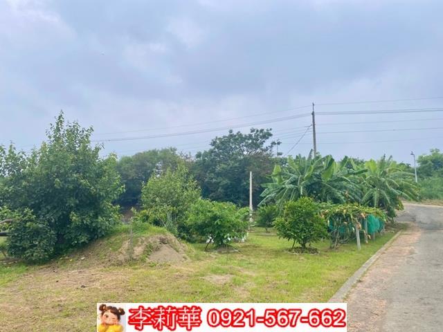 台南安南農地-1