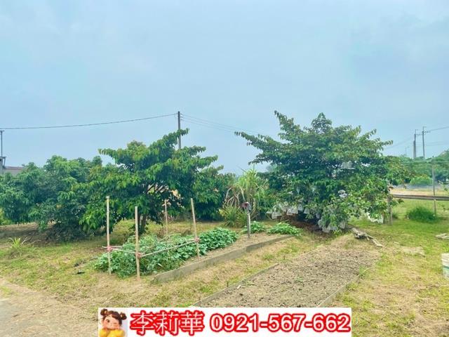 台南安南農地-2