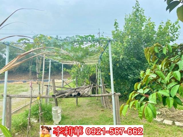 台南安南農地-5