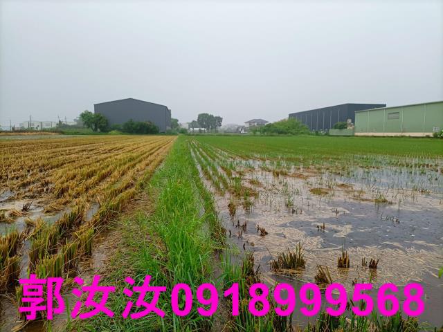 歸仁農地-10