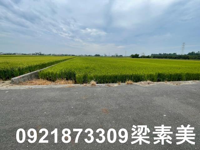 東山農地-7
