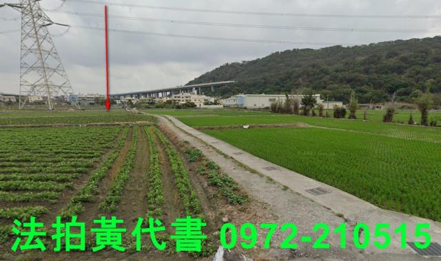 清水拍賣農地-4