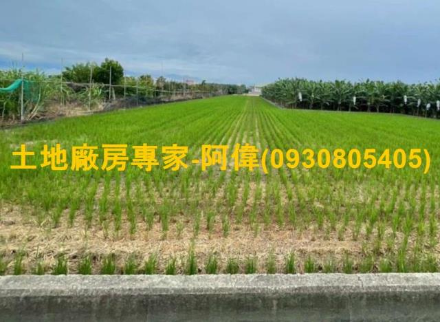 高雄農地-0