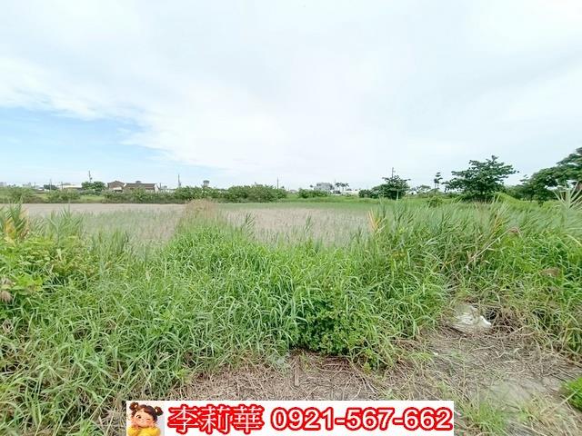 台南農地-8