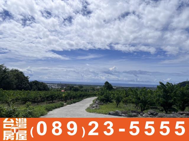 台東農地-9