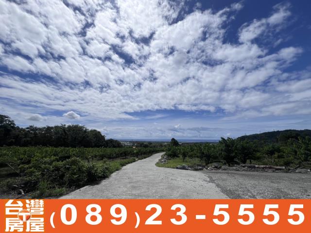 台東農地-12