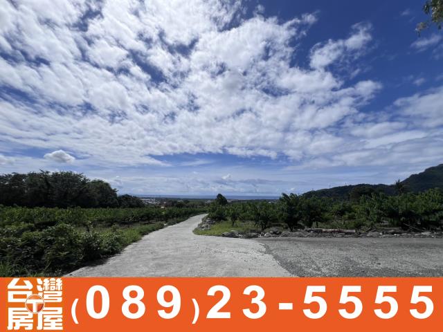 台東農地-10
