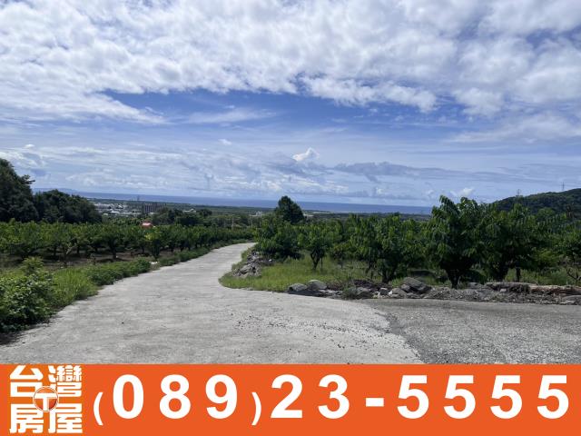 台東農地-11
