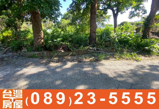 台東農地-8