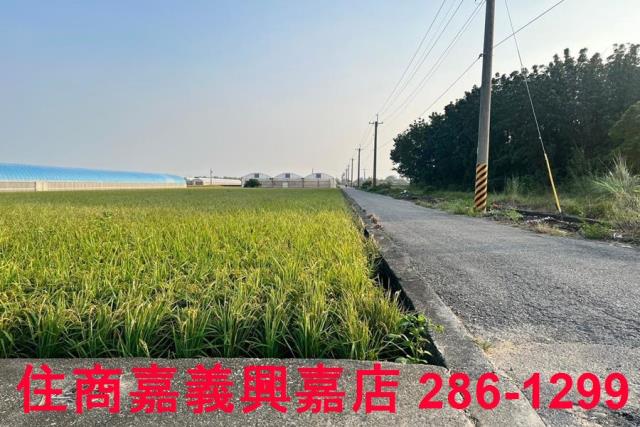 太保農地-5