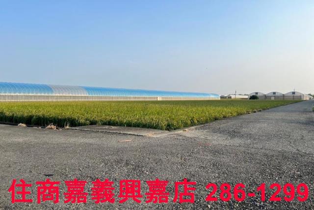 太保農地-6