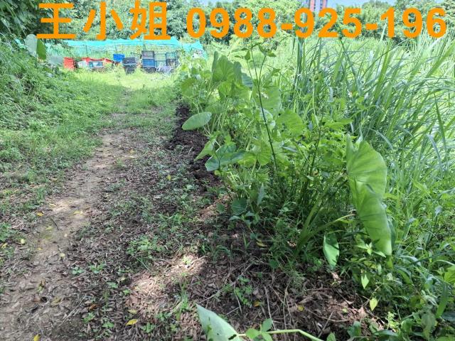 楊梅新富火車站楊湖段農地出售