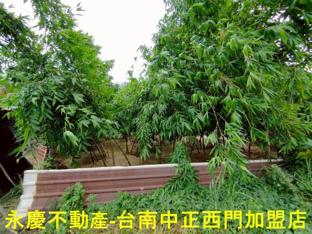 歸仁農地-5