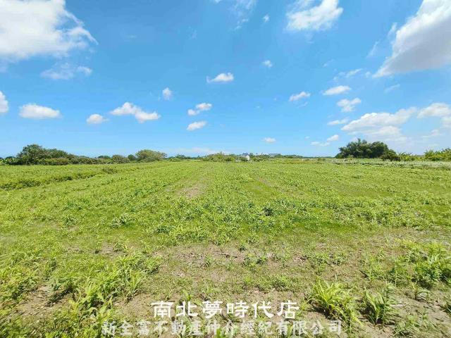 台南鹽水農地-4
