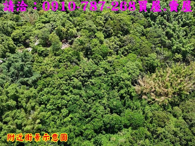 台南白河農地-12