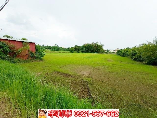 歸仁農地-4