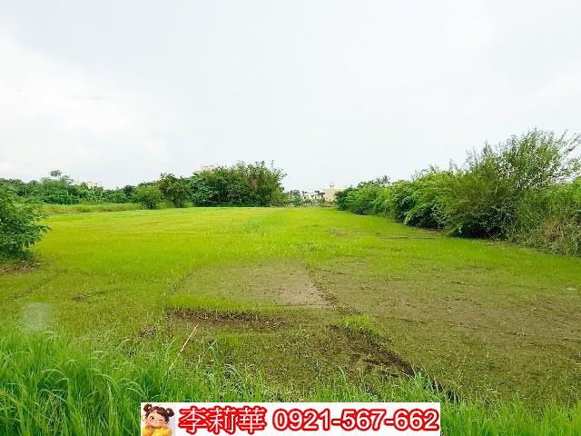 歸仁農地-8