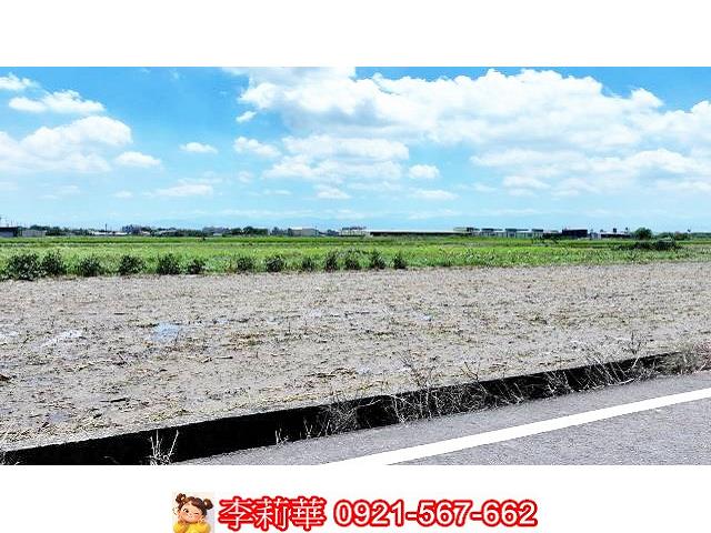 台南農地-10