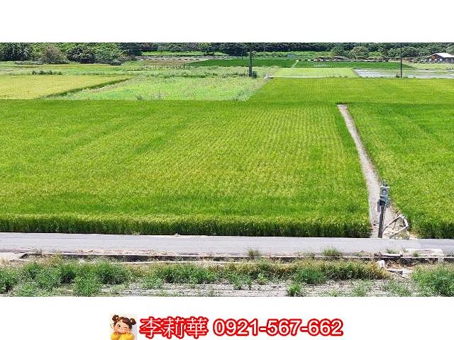 台南農地-3