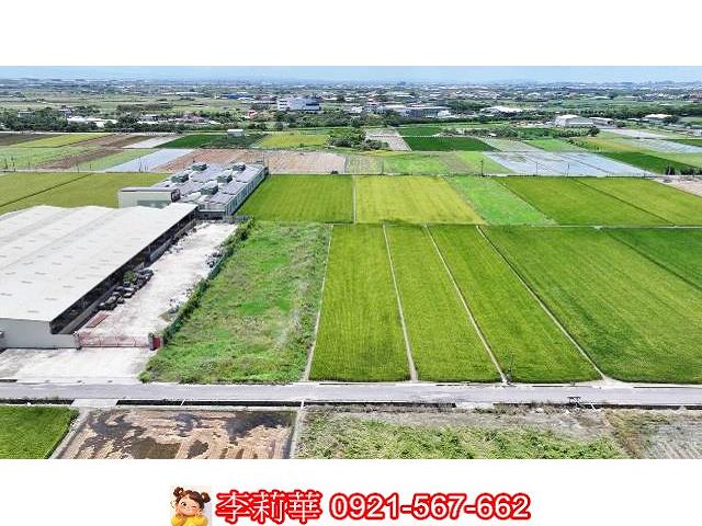 台南農地-4