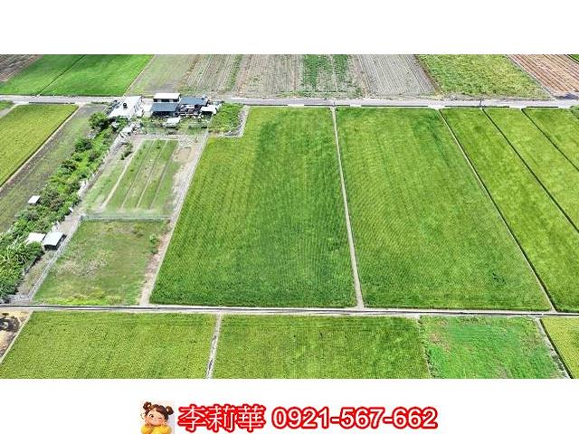 台南農地-6