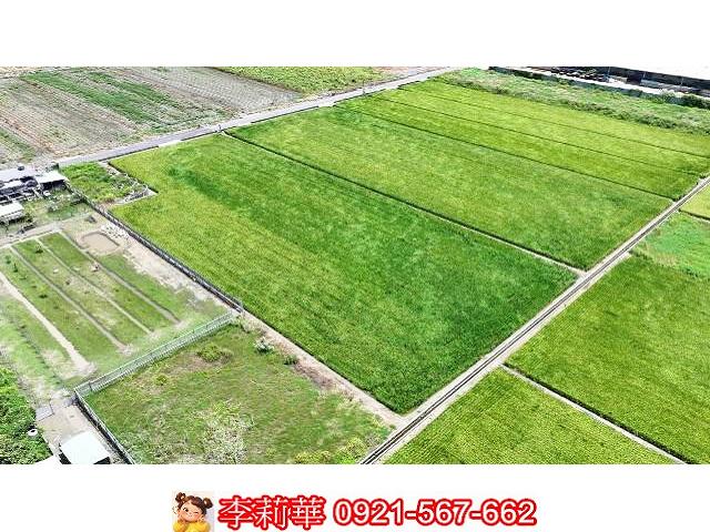 台南農地-7