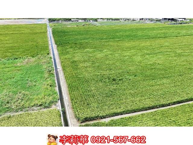 台南農地-8