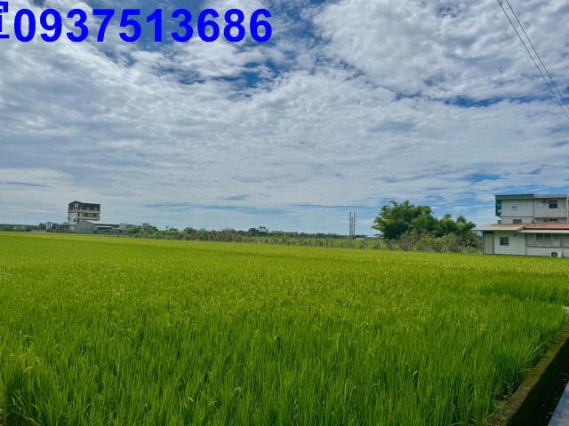宜蘭農地-8