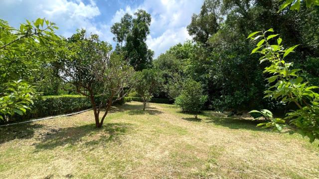 苗栗頭份農地-12