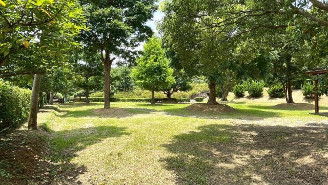 苗栗頭份農地-13