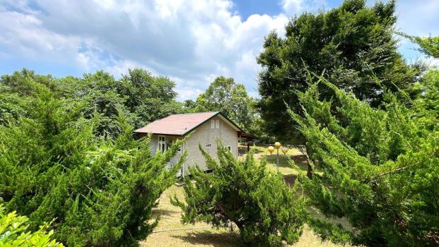 苗栗頭份農地-5