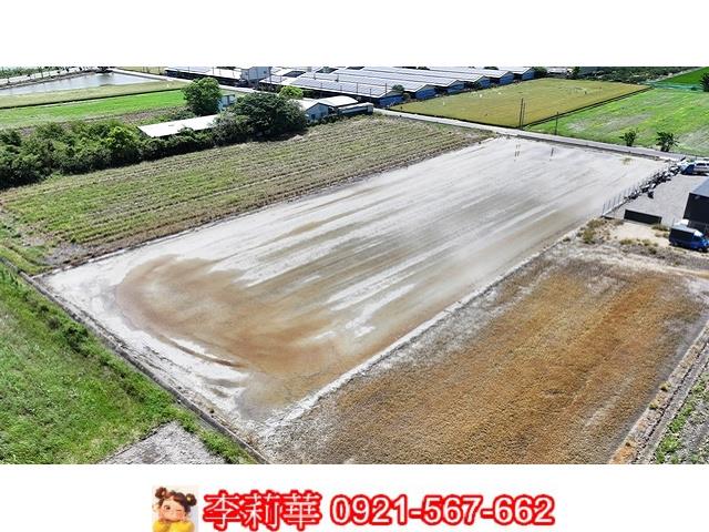 西港農地-10