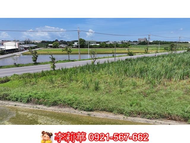 西港農地-13