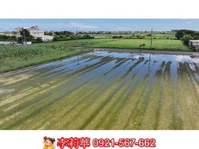 西港農地-14