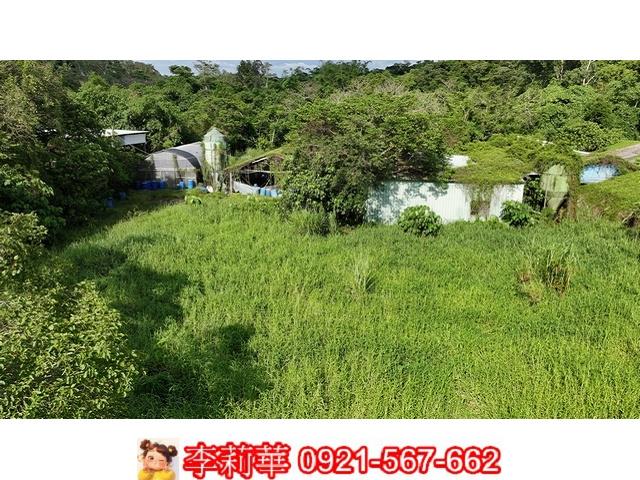 台南農地-10