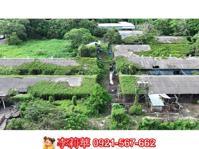 台南農地-5